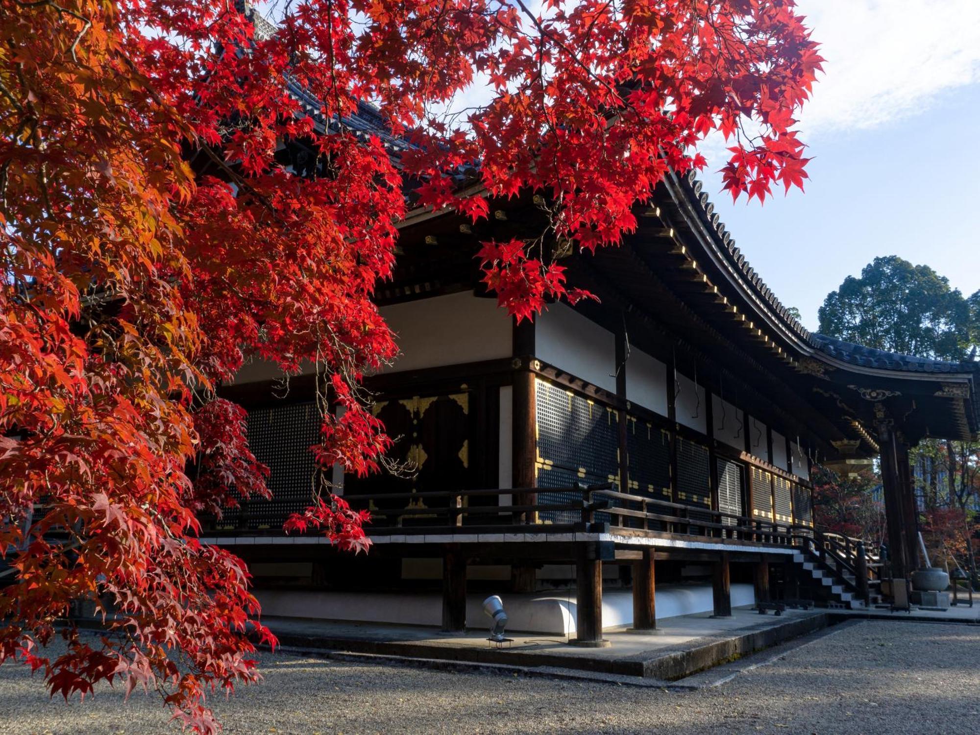 The Blossom Kyoto Exterior foto