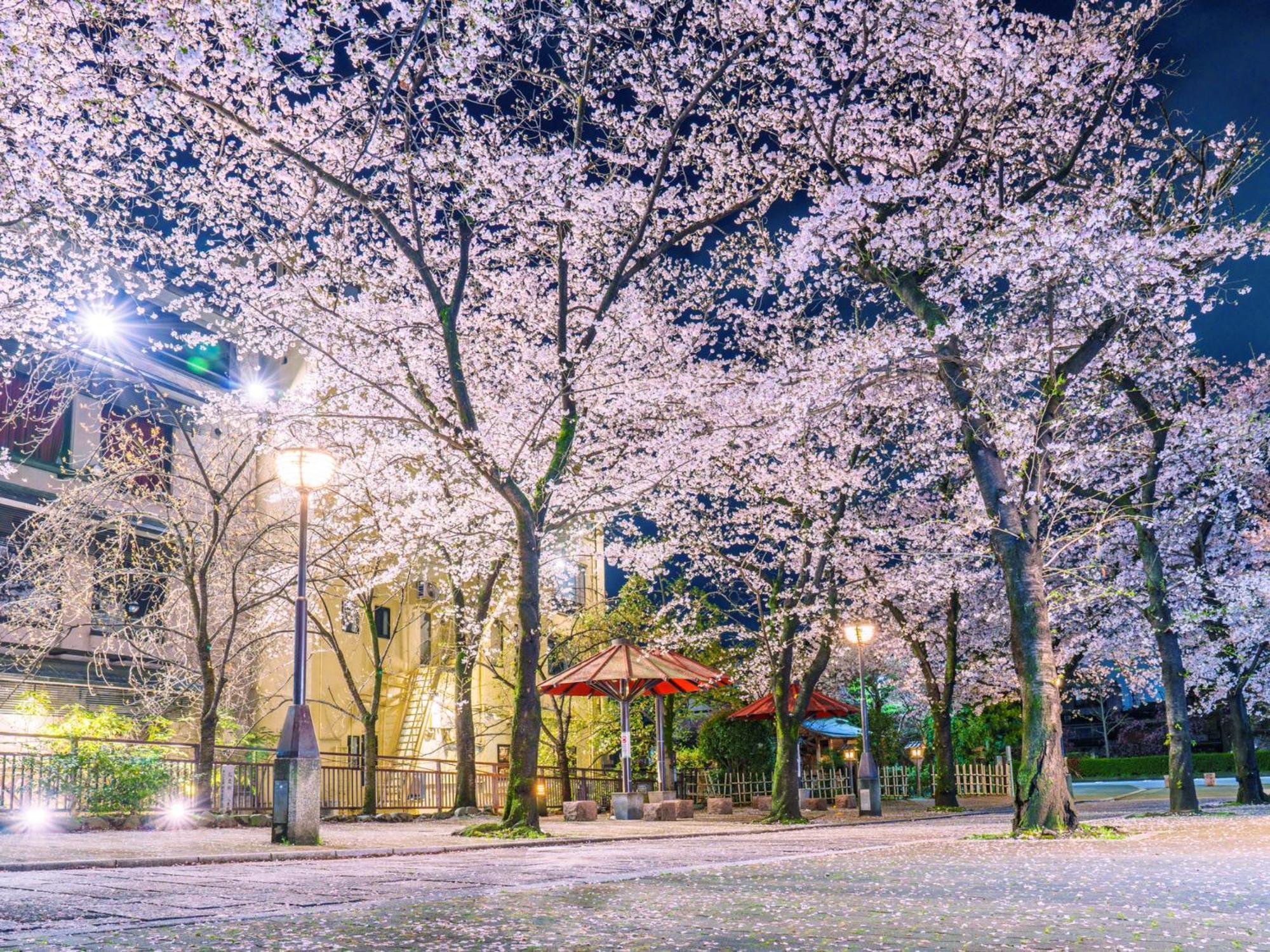 The Blossom Kyoto Exterior foto